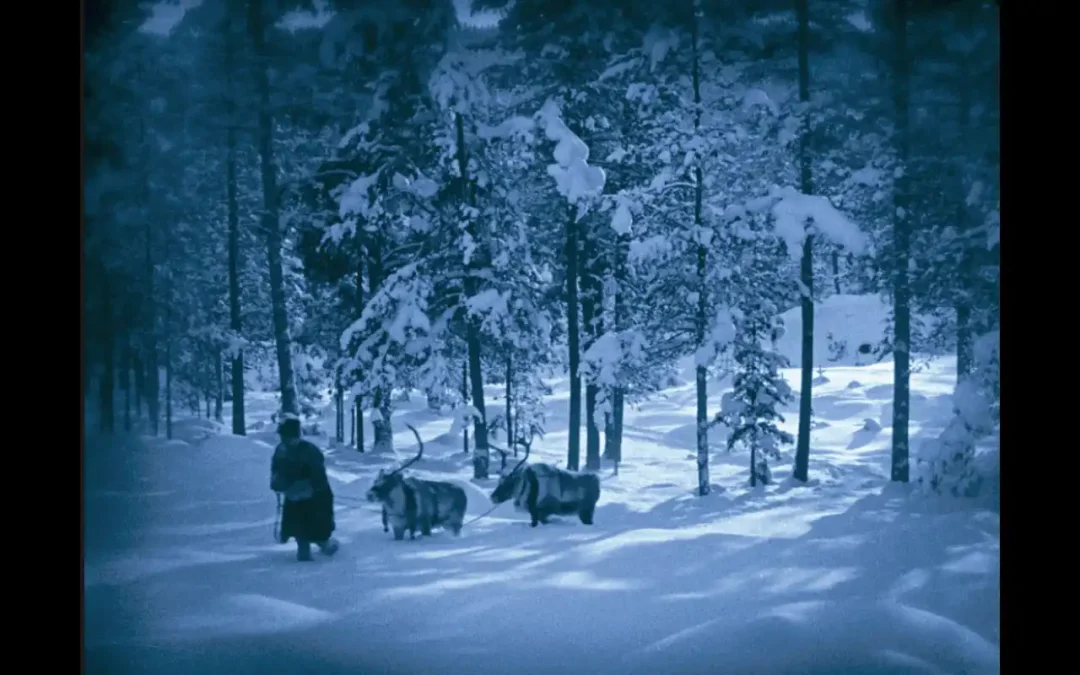L'hivernage en Laponie