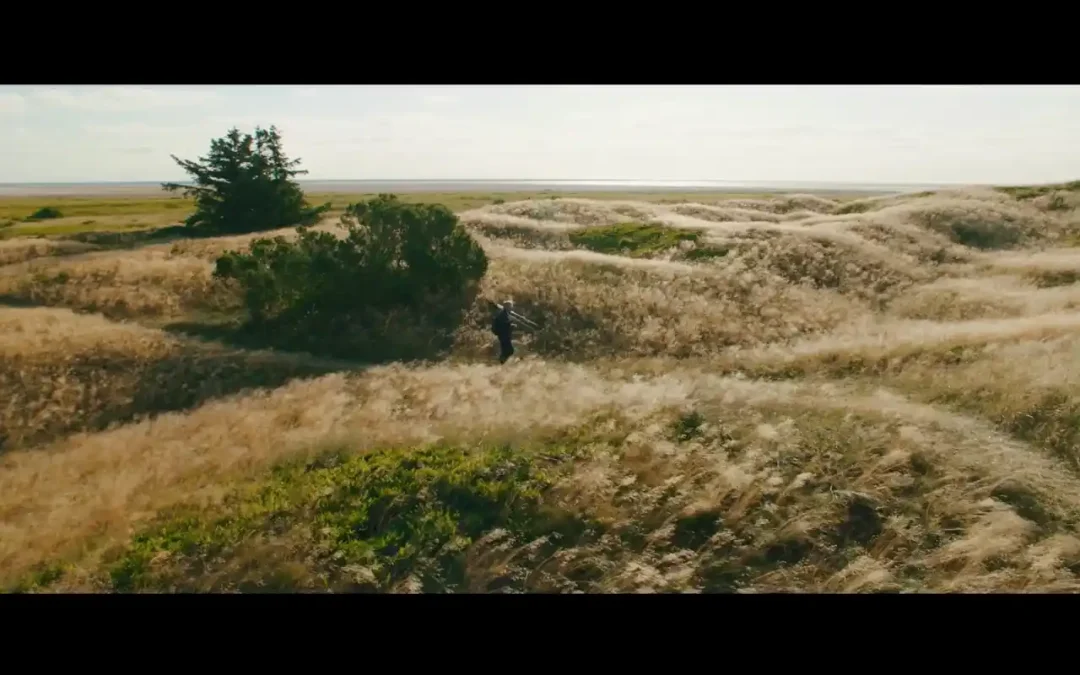 AS THE TIDE COMES IN